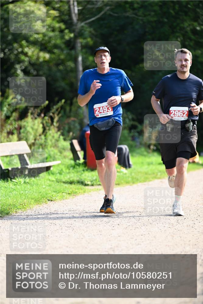 27.09.2026 - 35. Volkslauf durch das schöne Alstertal Dr. Thomas Lammeyer http://msf.ph/oto/10580251 27.09.2026 12:14:01 Laufen 2493, 2962 meine-sportfotos.de