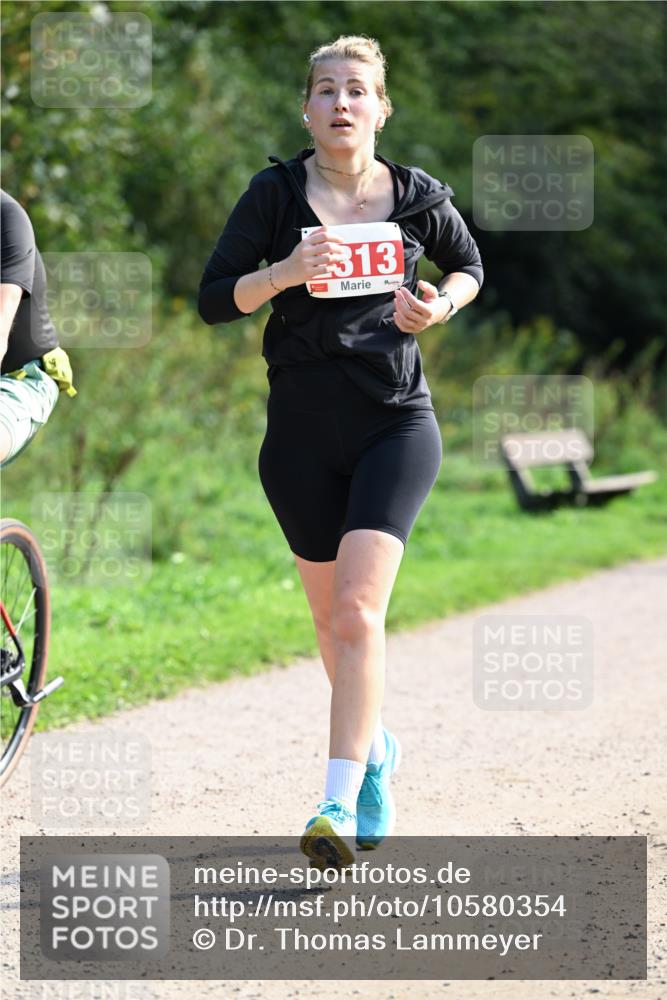 27.09.2026 - 35. Volkslauf durch das schöne Alstertal Dr. Thomas Lammeyer http://msf.ph/oto/10580354 27.09.2026 12:14:58 Laufen 313 meine-sportfotos.de