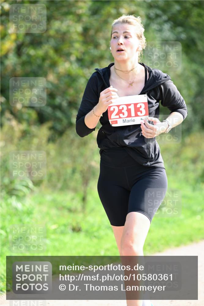 27.09.2026 - 35. Volkslauf durch das schöne Alstertal Dr. Thomas Lammeyer http://msf.ph/oto/10580361 27.09.2026 12:14:59 Laufen 2313 meine-sportfotos.de