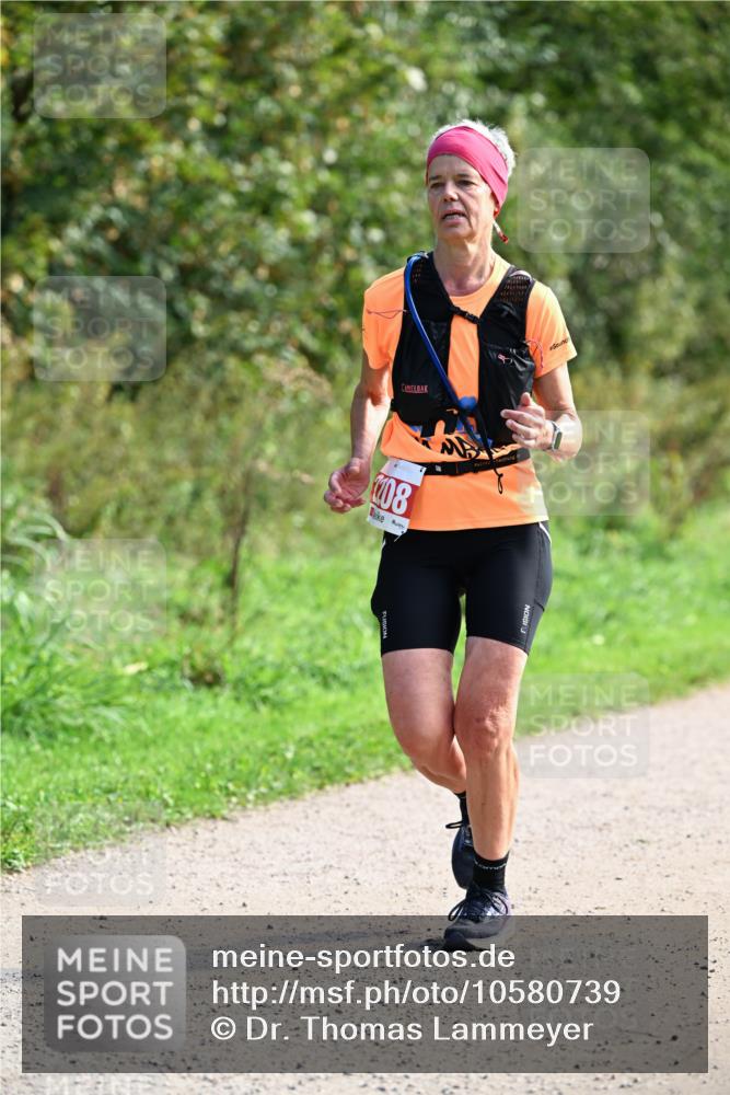 27.09.2026 - 35. Volkslauf durch das schöne Alstertal Dr. Thomas Lammeyer http://msf.ph/oto/10580739 27.09.2026 12:18:22 Laufen 08 meine-sportfotos.de