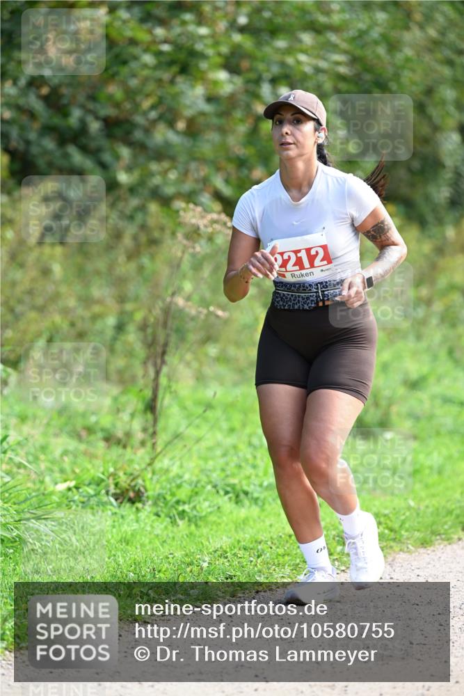27.09.2026 - 35. Volkslauf durch das schöne Alstertal Dr. Thomas Lammeyer http://msf.ph/oto/10580755 27.09.2026 12:18:28 Laufen 2212 meine-sportfotos.de