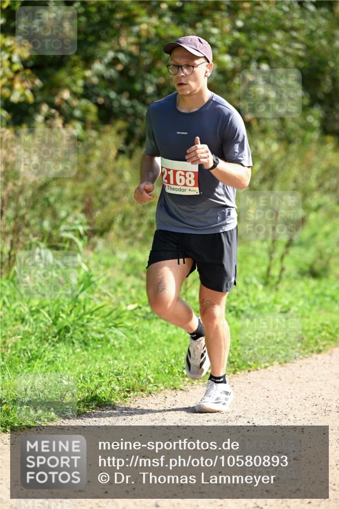 27.09.2026 - 35. Volkslauf durch das schöne Alstertal Dr. Thomas Lammeyer http://msf.ph/oto/10580893 27.09.2026 12:21:02 Laufen 2168 meine-sportfotos.de