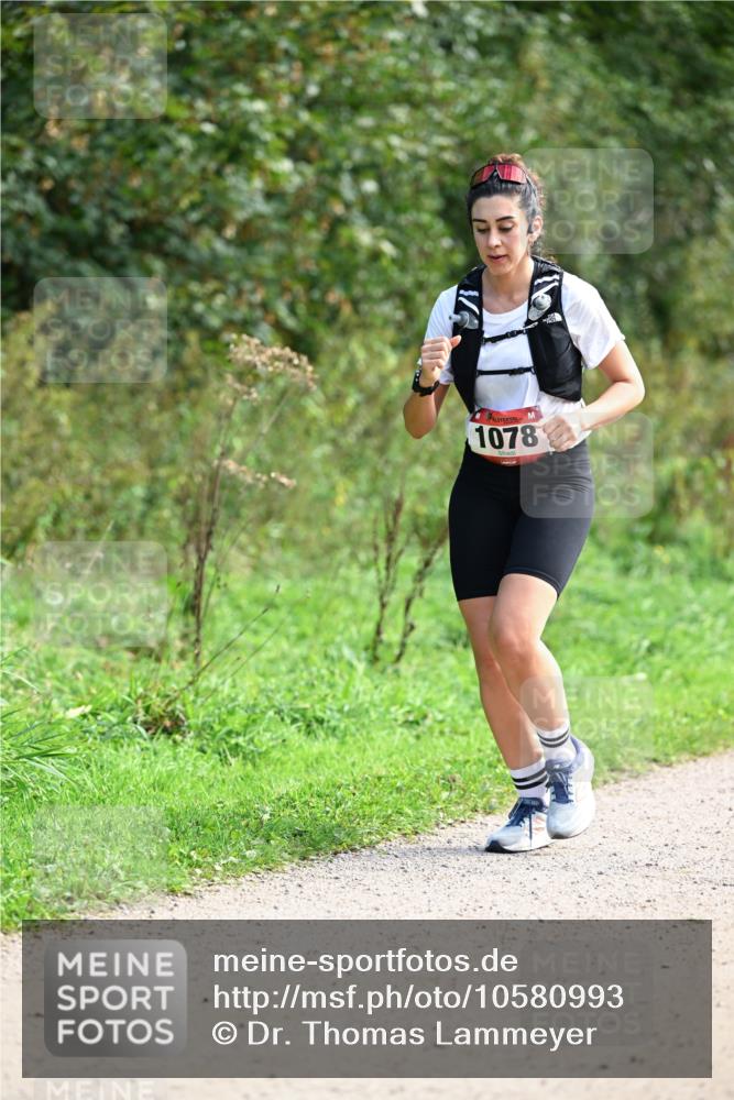 27.09.2026 - 35. Volkslauf durch das schöne Alstertal Dr. Thomas Lammeyer http://msf.ph/oto/10580993 27.09.2026 12:21:57 Laufen 1078 meine-sportfotos.de