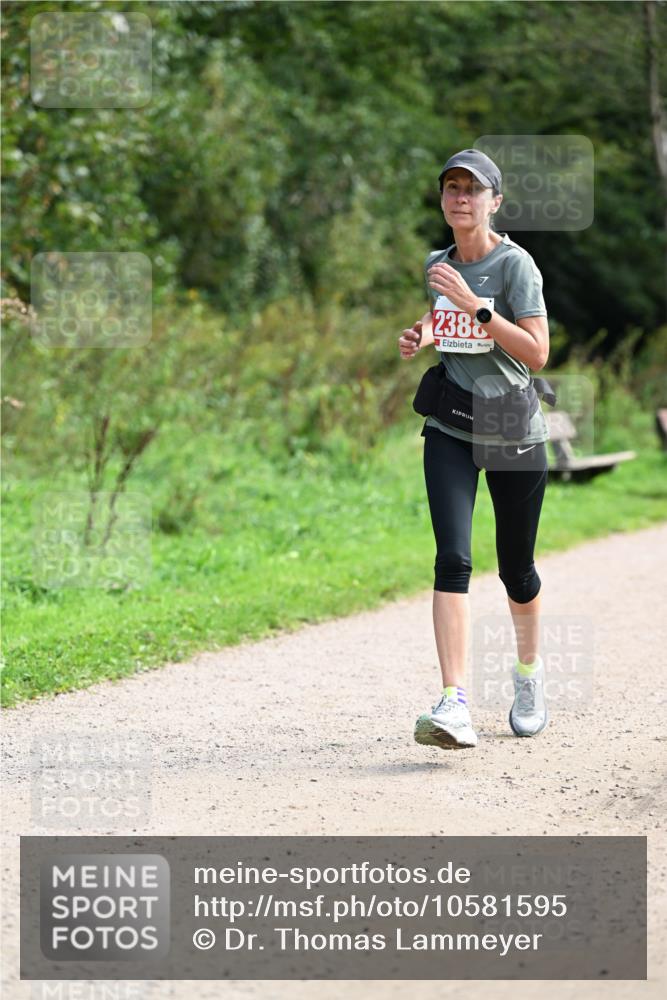 27.09.2026 - 35. Volkslauf durch das schöne Alstertal Dr. Thomas Lammeyer http://msf.ph/oto/10581595 27.09.2026 12:26:42 Laufen 2388 meine-sportfotos.de