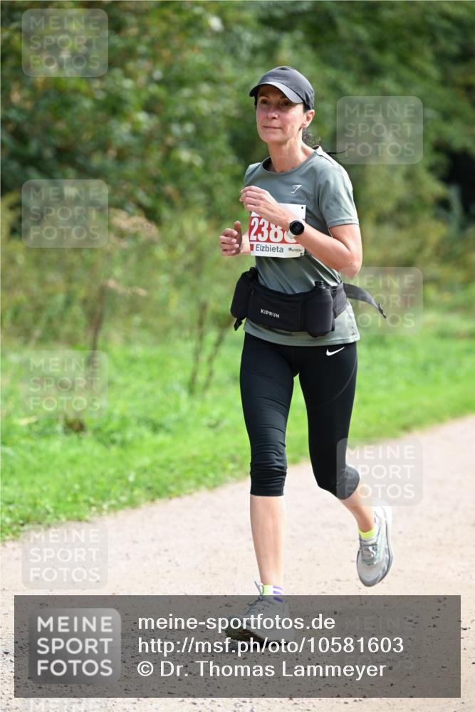 27.09.2026 - 35. Volkslauf durch das schöne Alstertal Dr. Thomas Lammeyer http://msf.ph/oto/10581603 27.09.2026 12:26:42 Laufen 238 meine-sportfotos.de