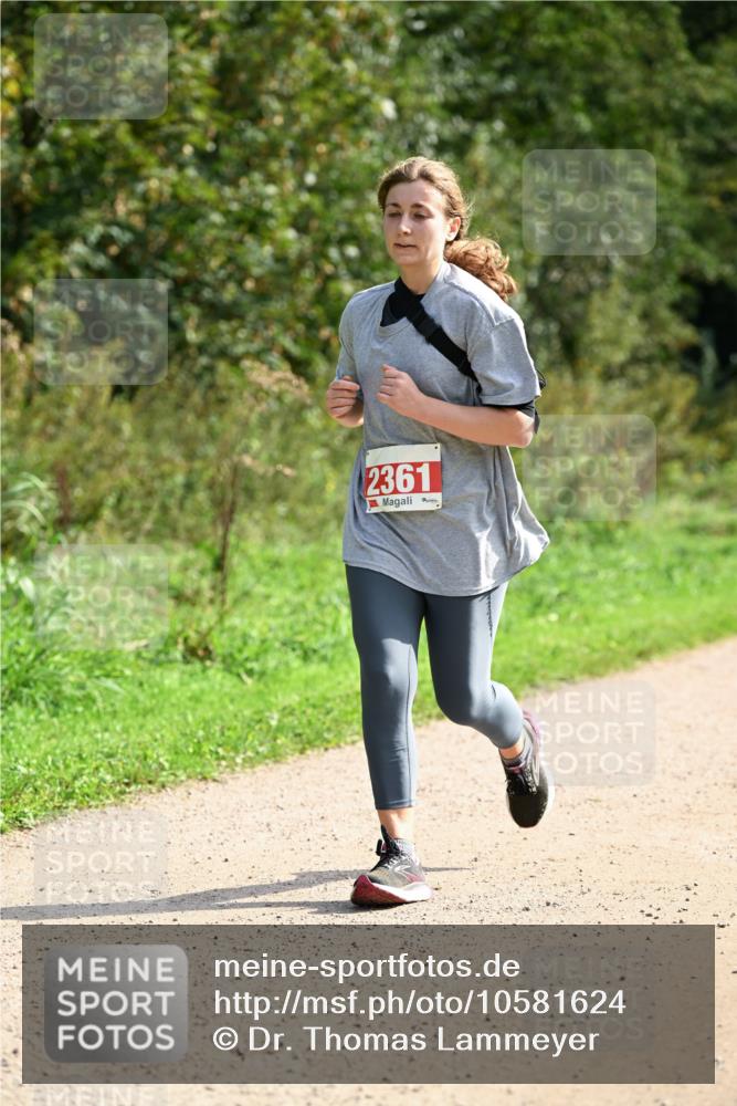 27.09.2026 - 35. Volkslauf durch das schöne Alstertal Dr. Thomas Lammeyer http://msf.ph/oto/10581624 27.09.2026 12:27:00 Laufen 2361 meine-sportfotos.de