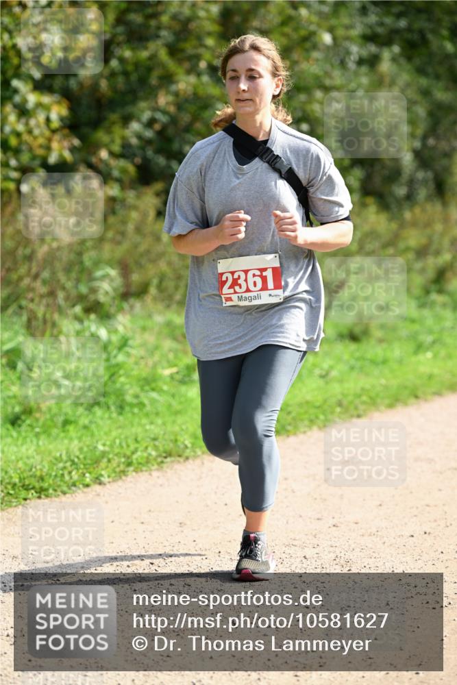 27.09.2026 - 35. Volkslauf durch das schöne Alstertal Dr. Thomas Lammeyer http://msf.ph/oto/10581627 27.09.2026 12:27:00 Laufen 2361 meine-sportfotos.de