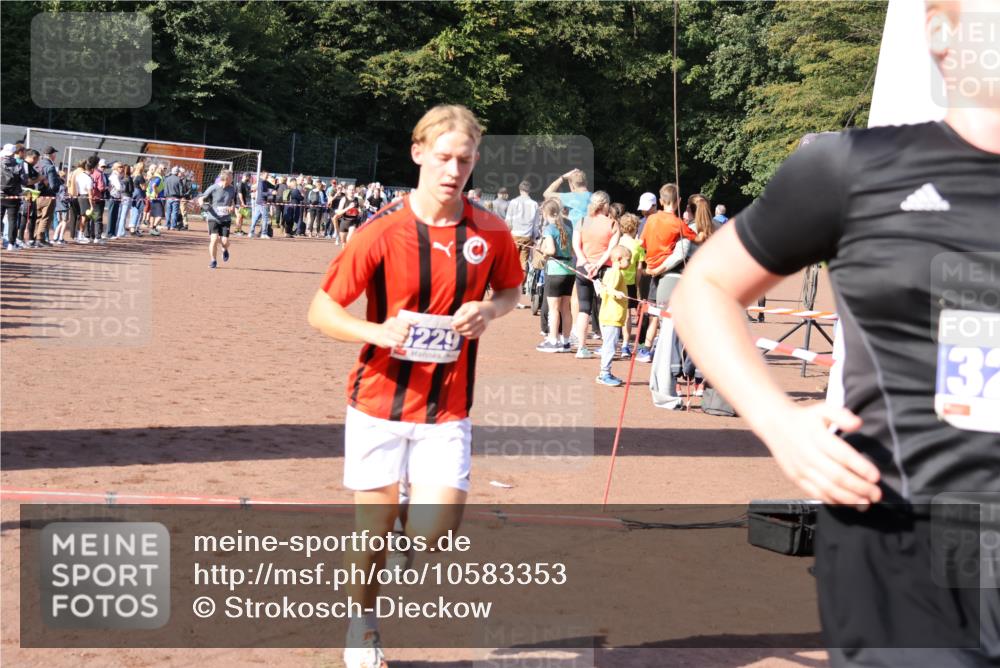 27.09.2026 - 35. Volkslauf durch das schöne Alstertal Strokosch-Dieckow http://msf.ph/oto/10583353 27.09.2026 11:28:25 Ziel 2999, 3025, 3229, 3287, 3293, 3983 meine-sportfotos.de