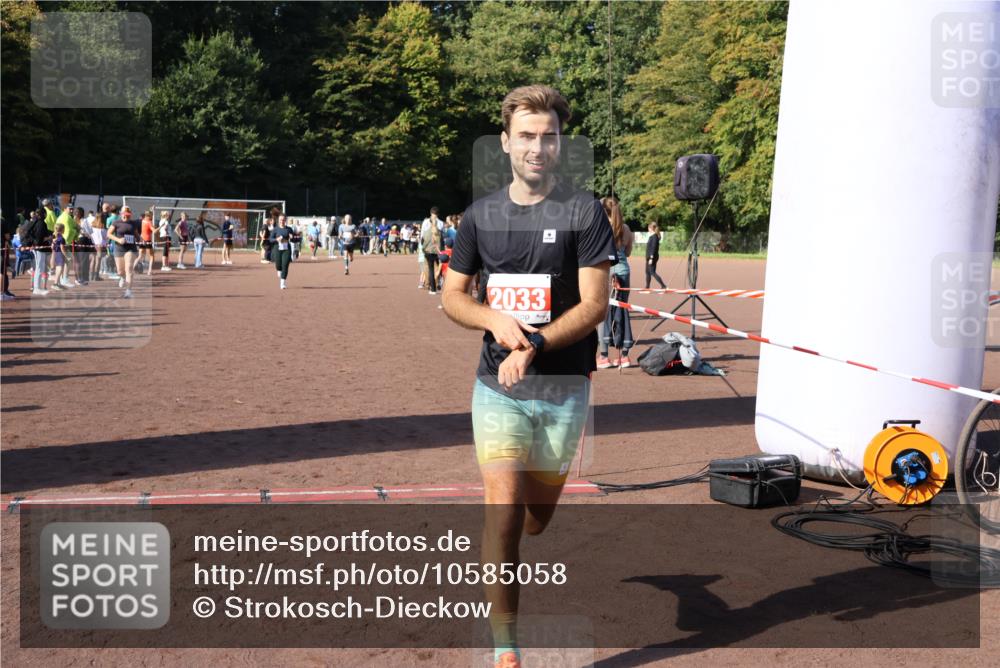 27.09.2026 - 35. Volkslauf durch das schöne Alstertal Strokosch-Dieckow http://msf.ph/oto/10585058 27.09.2026 11:49:53 Ziel 2033, 2422, 3156, 3223, 3238 meine-sportfotos.de