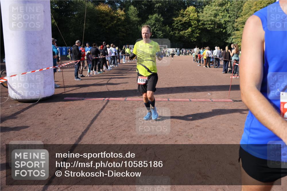 27.09.2026 - 35. Volkslauf durch das schöne Alstertal Strokosch-Dieckow http://msf.ph/oto/10585186 27.09.2026 11:49:33 Ziel 1487, 1493, 2363, 3175 meine-sportfotos.de