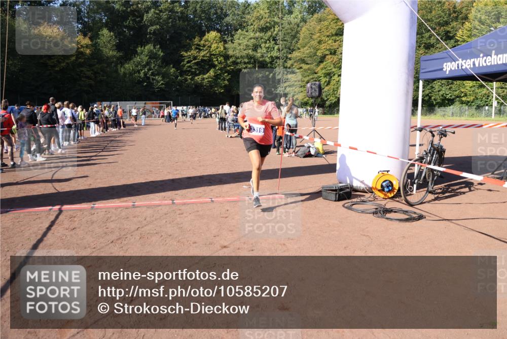 27.09.2026 - 35. Volkslauf durch das schöne Alstertal Strokosch-Dieckow http://msf.ph/oto/10585207 27.09.2026 11:47:44 Ziel 1479, 1501, 3319 meine-sportfotos.de