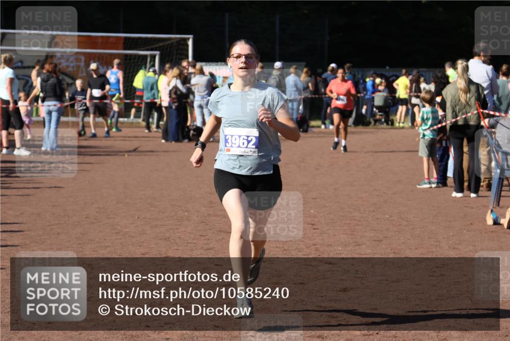 27.09.2026 - 35. Volkslauf durch das schöne Alstertal Strokosch-Dieckow http://msf.ph/oto/10585240 27.09.2026 11:47:32 Ziel 3962 meine-sportfotos.de