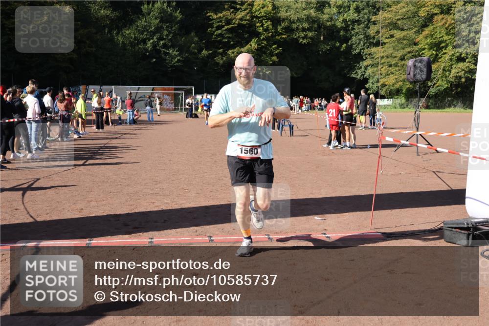 27.09.2026 - 35. Volkslauf durch das schöne Alstertal Strokosch-Dieckow http://msf.ph/oto/10585737 27.09.2026 11:56:16 Ziel 1019, 1542, 1560 meine-sportfotos.de