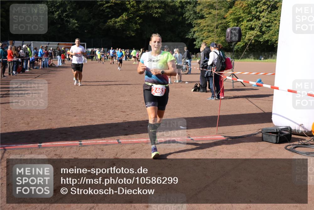 27.09.2026 - 35. Volkslauf durch das schöne Alstertal Strokosch-Dieckow http://msf.ph/oto/10586299 27.09.2026 12:11:26 Ziel 1051, 1610, 2380, 2381, 2463 meine-sportfotos.de