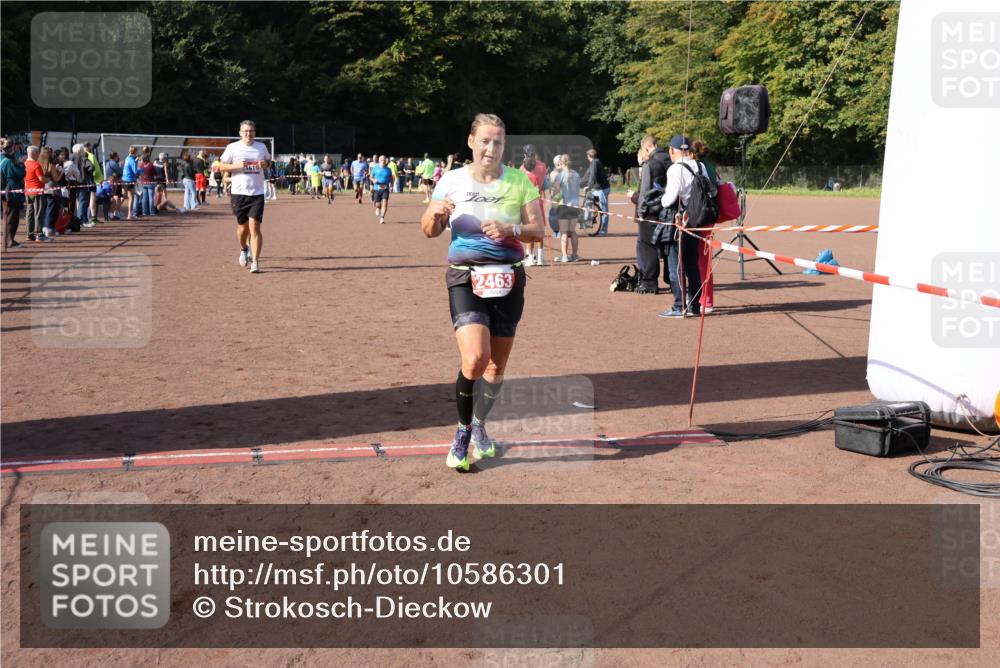 27.09.2026 - 35. Volkslauf durch das schöne Alstertal Strokosch-Dieckow http://msf.ph/oto/10586301 27.09.2026 12:11:26 Ziel 1051, 1610, 2380, 2381, 2463 meine-sportfotos.de