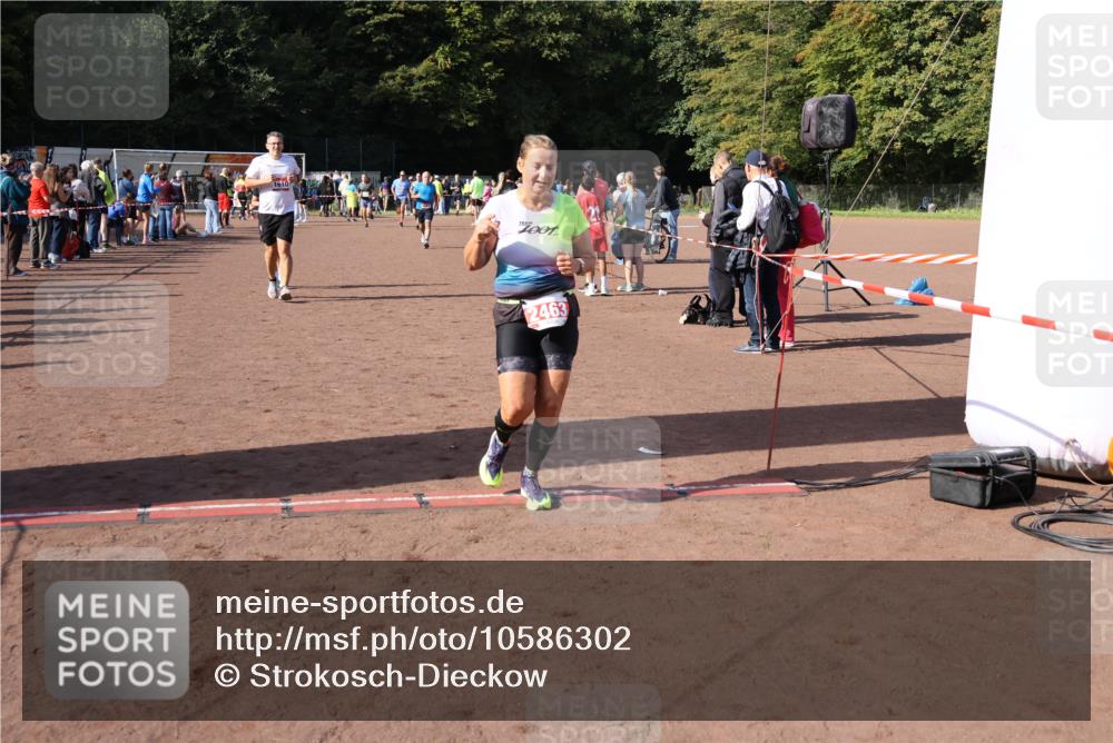 27.09.2026 - 35. Volkslauf durch das schöne Alstertal Strokosch-Dieckow http://msf.ph/oto/10586302 27.09.2026 12:11:26 Ziel 1051, 1610, 2380, 2381, 2463 meine-sportfotos.de