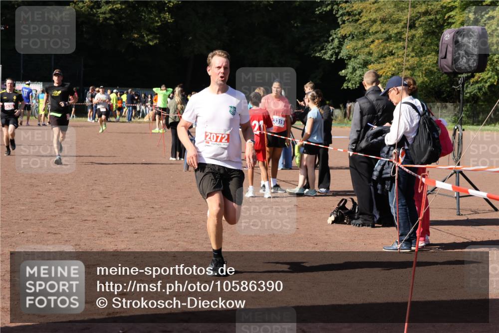 27.09.2026 - 35. Volkslauf durch das schöne Alstertal Strokosch-Dieckow http://msf.ph/oto/10586390 27.09.2026 12:10:53 Ziel 2072, 2436, 2479 meine-sportfotos.de