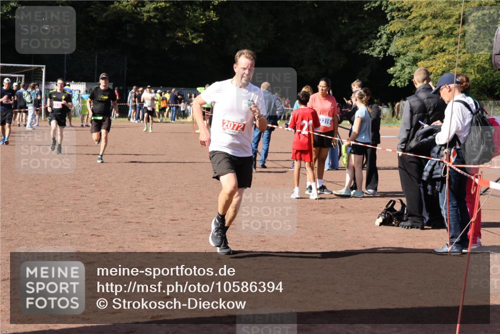 27.09.2026 - 35. Volkslauf durch das schöne Alstertal Strokosch-Dieckow http://msf.ph/oto/10586394 27.09.2026 12:10:52 Ziel 2072, 2436, 2479 meine-sportfotos.de