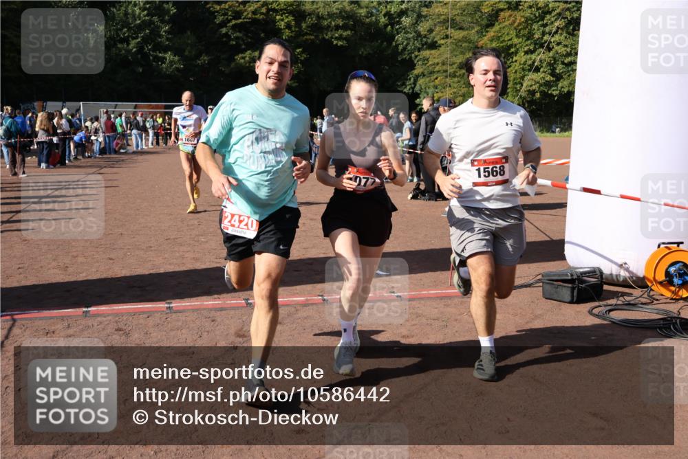 27.09.2026 - 35. Volkslauf durch das schöne Alstertal Strokosch-Dieckow http://msf.ph/oto/10586442 27.09.2026 12:10:19 Ziel 1040, 1049, 1077, 1116, 1568, 1607, 2418, 2420 meine-sportfotos.de