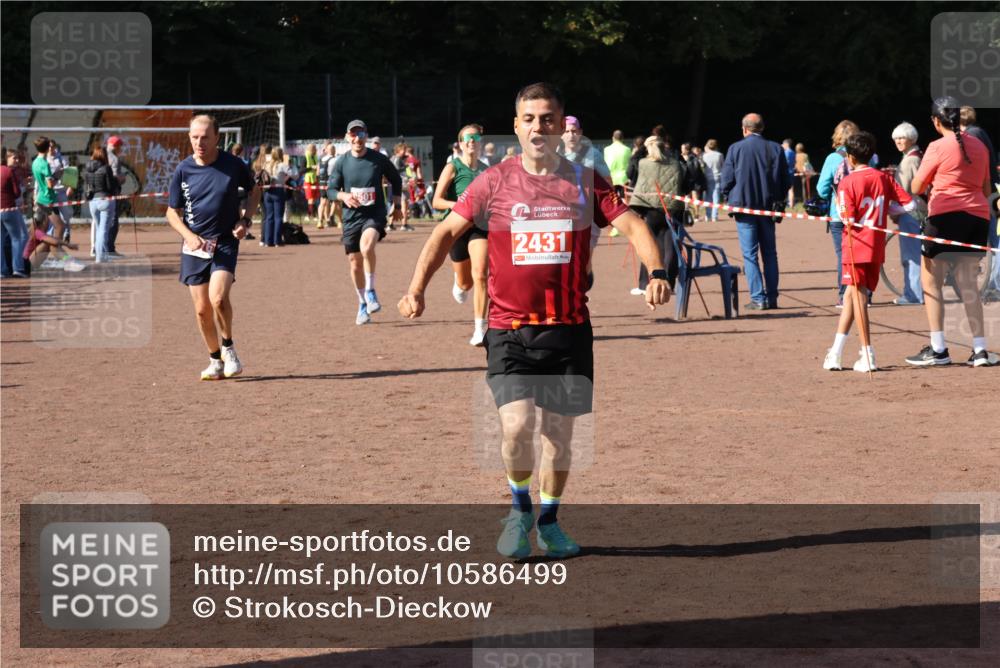 27.09.2026 - 35. Volkslauf durch das schöne Alstertal Strokosch-Dieckow http://msf.ph/oto/10586499 27.09.2026 12:10:00 Ziel 2367, 2376, 2431, 2500, 2501 meine-sportfotos.de