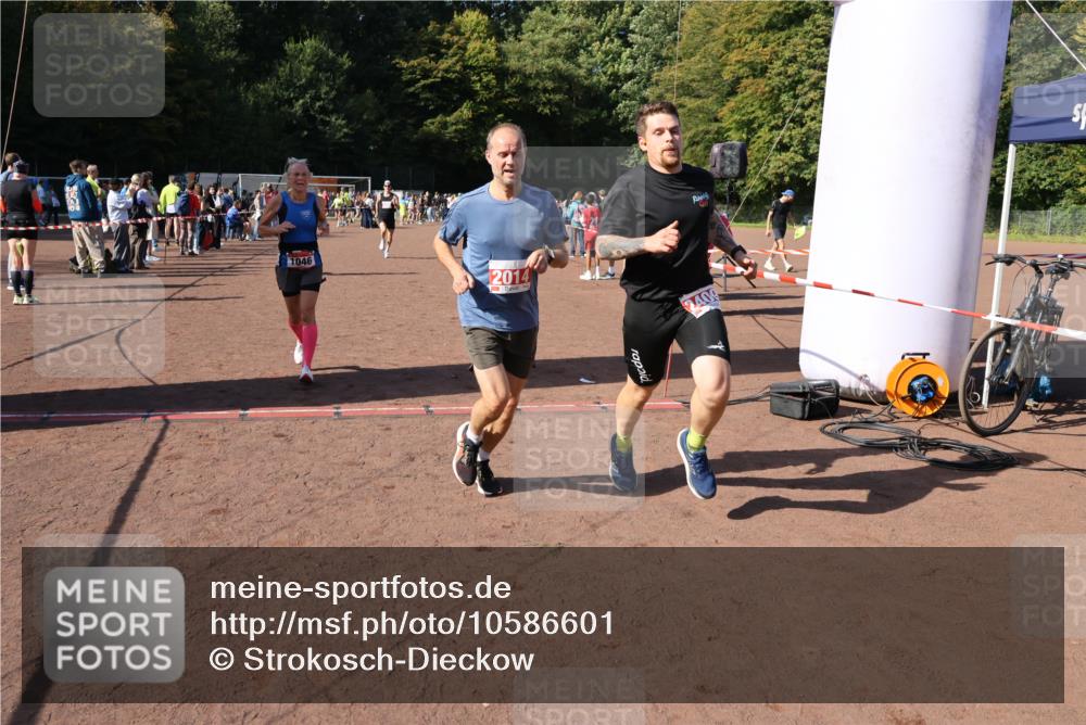 27.09.2026 - 35. Volkslauf durch das schöne Alstertal Strokosch-Dieckow http://msf.ph/oto/10586601 27.09.2026 12:08:56 Ziel 1046, 1062, 2014, 2056, 2273, 2409 meine-sportfotos.de