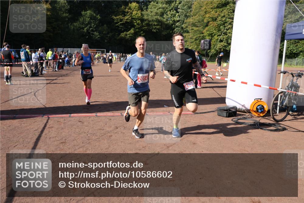 27.09.2026 - 35. Volkslauf durch das schöne Alstertal Strokosch-Dieckow http://msf.ph/oto/10586602 27.09.2026 12:08:56 Ziel 1046, 1062, 2014, 2056, 2273, 2409 meine-sportfotos.de