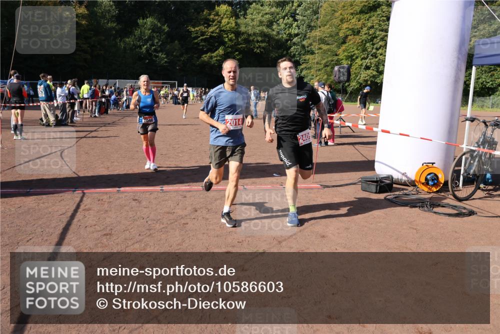 27.09.2026 - 35. Volkslauf durch das schöne Alstertal Strokosch-Dieckow http://msf.ph/oto/10586603 27.09.2026 12:08:56 Ziel 1046, 1062, 2014, 2056, 2273, 2409 meine-sportfotos.de