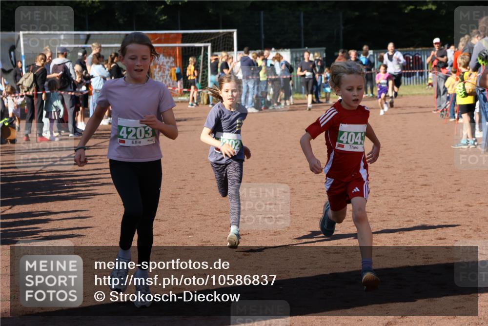 27.09.2026 - 35. Volkslauf durch das schöne Alstertal Strokosch-Dieckow http://msf.ph/oto/10586837 27.09.2026 10:59:30 Ziel 4043, 4047, 4049, 4111, 4202, 4203 meine-sportfotos.de