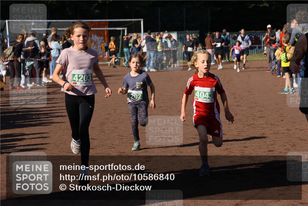 27.09.2026 - 35. Volkslauf durch das schöne Alstertal Strokosch-Dieckow http://msf.ph/oto/10586840 27.09.2026 10:59:30 Ziel 4043, 4047, 4049, 4111, 4202, 4203 meine-sportfotos.de