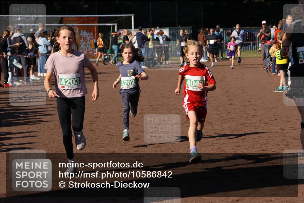 27.09.2026 - 35. Volkslauf durch das schöne Alstertal Strokosch-Dieckow http://msf.ph/oto/10586842 27.09.2026 10:59:30 Ziel 4043, 4047, 4049, 4111, 4202, 4203 meine-sportfotos.de