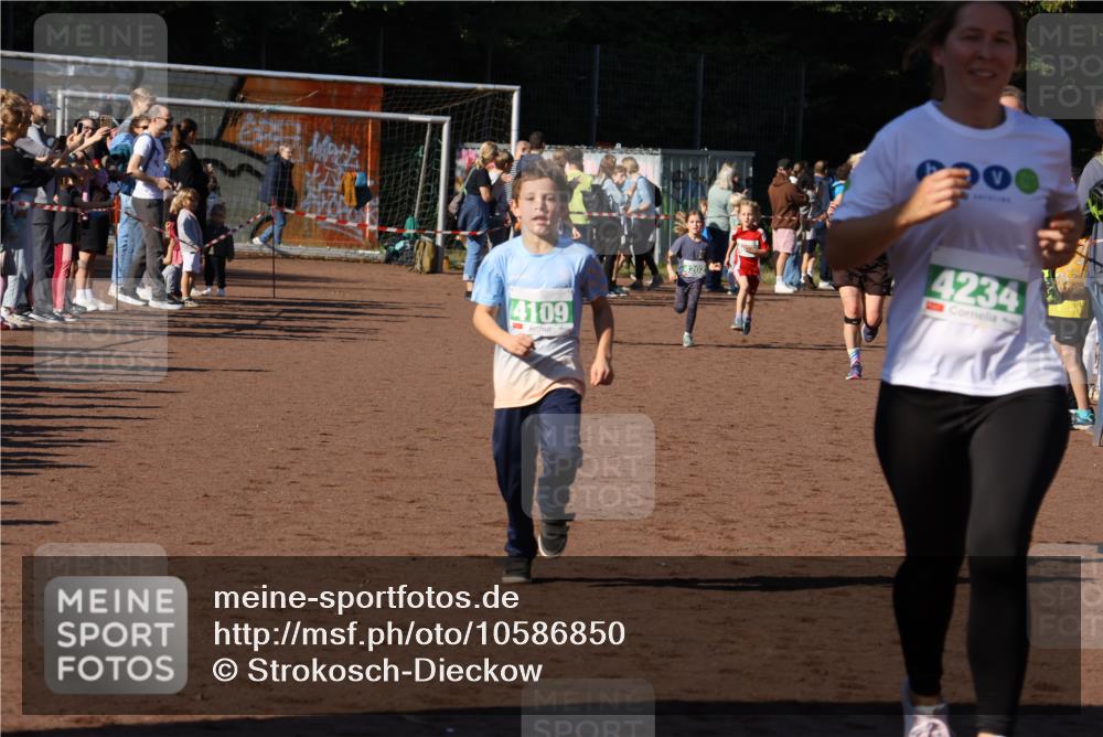 27.09.2026 - 35. Volkslauf durch das schöne Alstertal Strokosch-Dieckow http://msf.ph/oto/10586850 27.09.2026 10:59:23 Ziel 4043, 4109, 4111, 4185, 4202, 4203, 4234 meine-sportfotos.de
