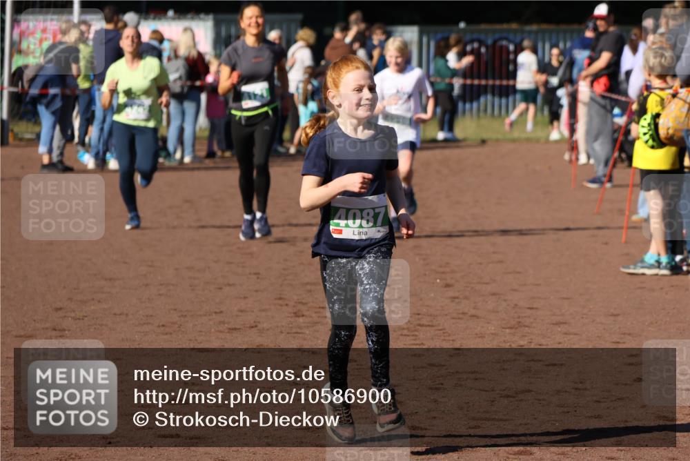 27.09.2026 - 35. Volkslauf durch das schöne Alstertal Strokosch-Dieckow http://msf.ph/oto/10586900 27.09.2026 10:58:08 Ziel 4087, 4121, 4239, 4242 meine-sportfotos.de