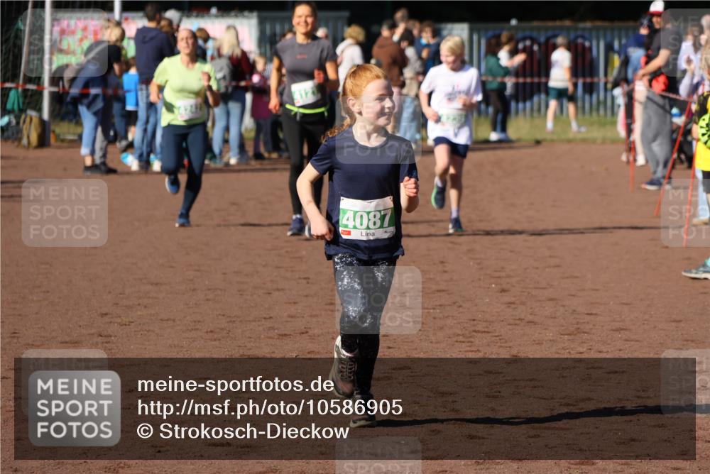 27.09.2026 - 35. Volkslauf durch das schöne Alstertal Strokosch-Dieckow http://msf.ph/oto/10586905 27.09.2026 10:58:08 Ziel 4087, 4121, 4239, 4242 meine-sportfotos.de