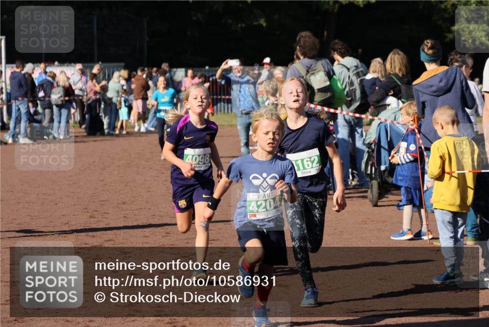 27.09.2026 - 35. Volkslauf durch das schöne Alstertal Strokosch-Dieckow http://msf.ph/oto/10586931 27.09.2026 10:57:50 Ziel 4098, 4140, 4141, 4162, 4169, 4204, 4221 meine-sportfotos.de