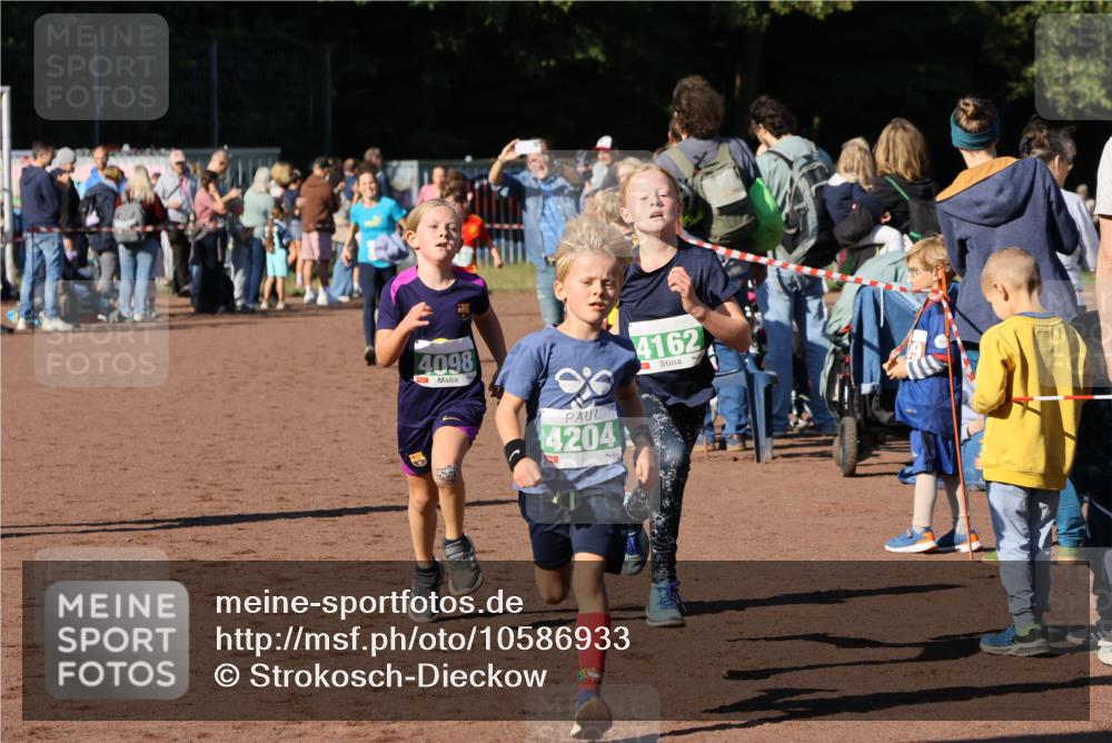 27.09.2026 - 35. Volkslauf durch das schöne Alstertal Strokosch-Dieckow http://msf.ph/oto/10586933 27.09.2026 10:57:50 Ziel 4098, 4140, 4141, 4162, 4169, 4204, 4221 meine-sportfotos.de