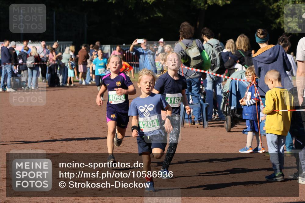 27.09.2026 - 35. Volkslauf durch das schöne Alstertal Strokosch-Dieckow http://msf.ph/oto/10586936 27.09.2026 10:57:50 Ziel 4098, 4140, 4141, 4162, 4169, 4204, 4221 meine-sportfotos.de