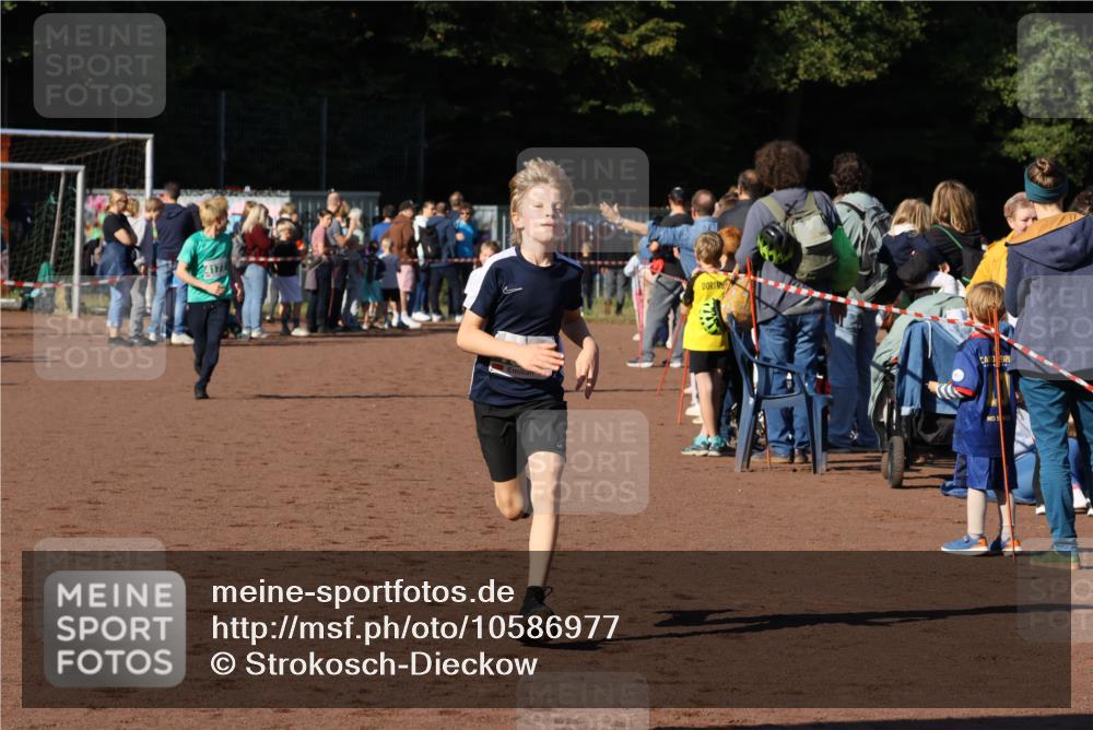 27.09.2026 - 35. Volkslauf durch das schöne Alstertal Strokosch-Dieckow http://msf.ph/oto/10586977 27.09.2026 10:57:07 Ziel 4059, 4065, 4094, 4177 meine-sportfotos.de