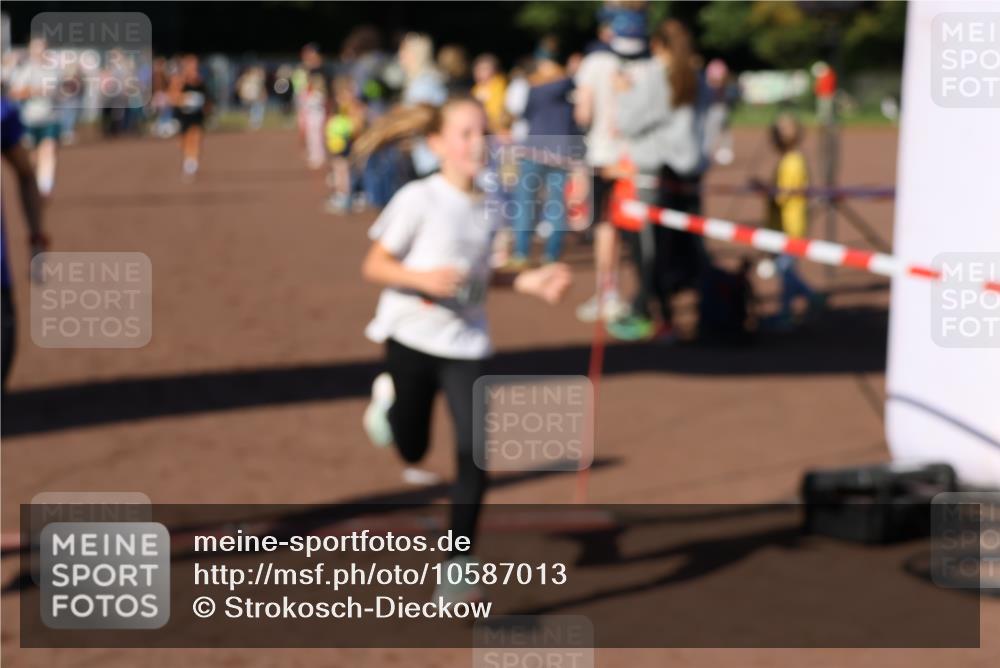 27.09.2026 - 35. Volkslauf durch das schöne Alstertal Strokosch-Dieckow http://msf.ph/oto/10587013 27.09.2026 10:56:10 Ziel 4142, 4144, 4148, 4207 meine-sportfotos.de