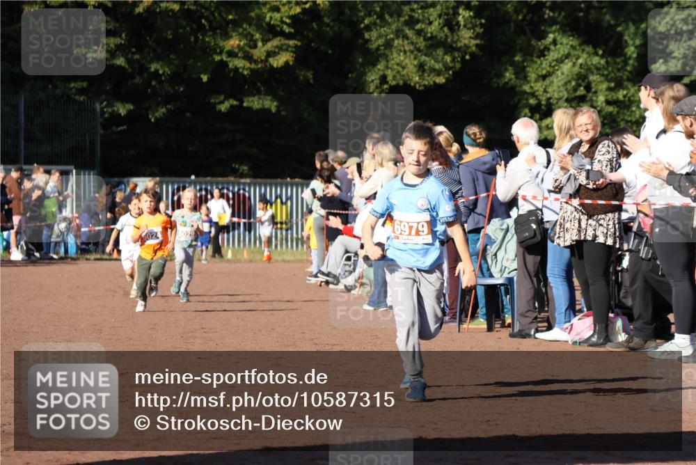 27.09.2026 - 35. Volkslauf durch das schöne Alstertal Strokosch-Dieckow http://msf.ph/oto/10587315 27.09.2026 10:42:17 Ziel 1024, 6029, 6979, 1 meine-sportfotos.de