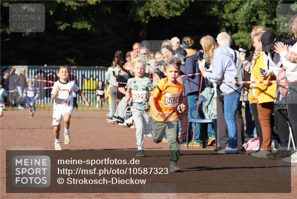 27.09.2026 - 35. Volkslauf durch das schöne Alstertal Strokosch-Dieckow http://msf.ph/oto/10587323 27.09.2026 10:42:21 Ziel 6067, 6029, 6024 meine-sportfotos.de