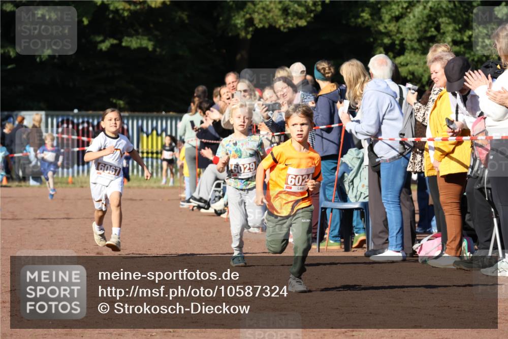 27.09.2026 - 35. Volkslauf durch das schöne Alstertal Strokosch-Dieckow http://msf.ph/oto/10587324 27.09.2026 10:42:21 Ziel 16067, 6029, 6024 meine-sportfotos.de
