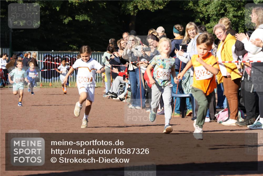 27.09.2026 - 35. Volkslauf durch das schöne Alstertal Strokosch-Dieckow http://msf.ph/oto/10587326 27.09.2026 10:42:22 Ziel 6972, 6009, 6067, 6029, 6024 meine-sportfotos.de