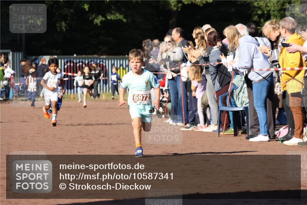 27.09.2026 - 35. Volkslauf durch das schöne Alstertal Strokosch-Dieckow http://msf.ph/oto/10587341 27.09.2026 10:42:27 Ziel 60, 6972 meine-sportfotos.de