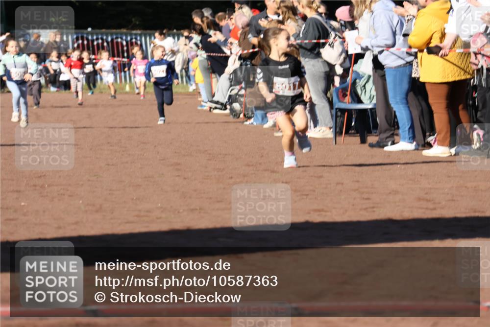 27.09.2026 - 35. Volkslauf durch das schöne Alstertal Strokosch-Dieckow http://msf.ph/oto/10587363 27.09.2026 10:42:38 Ziel 6017 meine-sportfotos.de