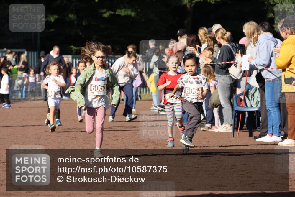 27.09.2026 - 35. Volkslauf durch das schöne Alstertal Strokosch-Dieckow http://msf.ph/oto/10587375 27.09.2026 10:42:48 Ziel 6036, 16053, 6, 22, 6064 meine-sportfotos.de