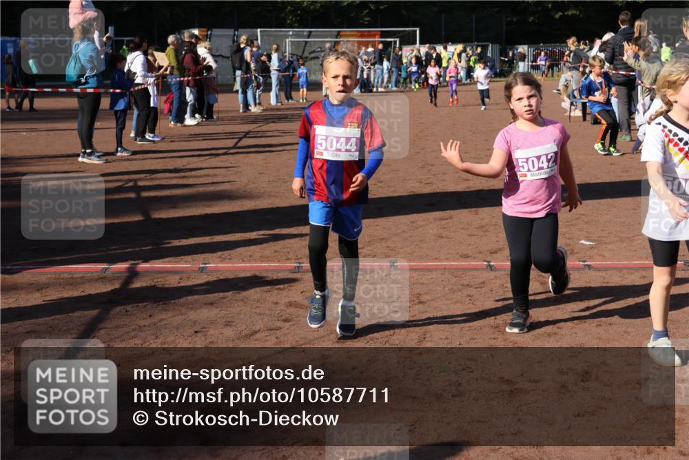 27.09.2026 - 35. Volkslauf durch das schöne Alstertal Strokosch-Dieckow http://msf.ph/oto/10587711 27.09.2026 10:46:50 Ziel 5044, 15042, 5033, 5035, 5042, 5044, 5052, 5061 meine-sportfotos.de