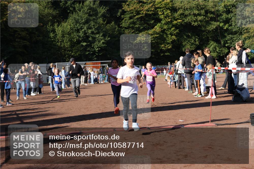 27.09.2026 - 35. Volkslauf durch das schöne Alstertal Strokosch-Dieckow http://msf.ph/oto/10587714 27.09.2026 10:46:58 Ziel 5014, 952, 5035, 5014, 5033, 5035, 5052, 5981 meine-sportfotos.de