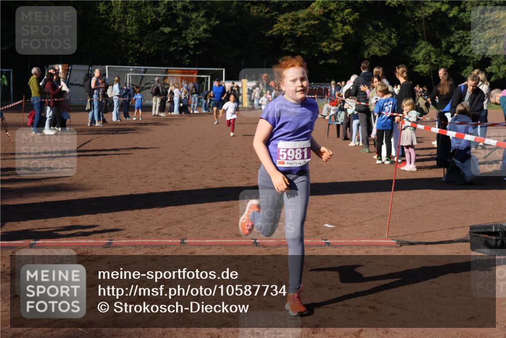 27.09.2026 - 35. Volkslauf durch das schöne Alstertal Strokosch-Dieckow http://msf.ph/oto/10587734 27.09.2026 10:47:07 Ziel 5981, 5054, 5981 meine-sportfotos.de