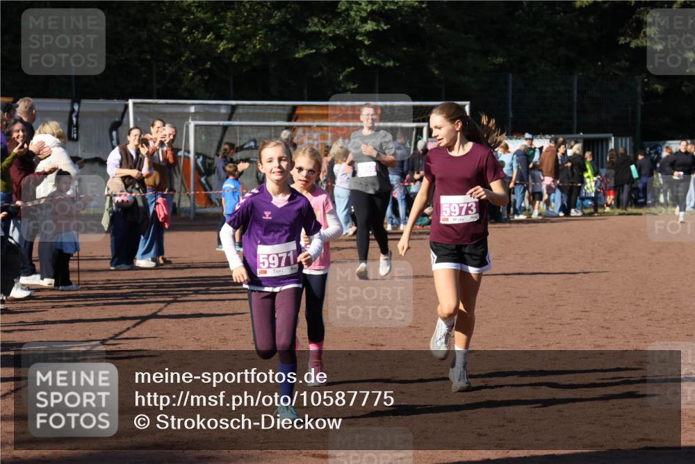 27.09.2026 - 35. Volkslauf durch das schöne Alstertal Strokosch-Dieckow http://msf.ph/oto/10587775 27.09.2026 10:48:27 Ziel 5971, 050, 5973, 5050, 5971, 5972, 5973 meine-sportfotos.de