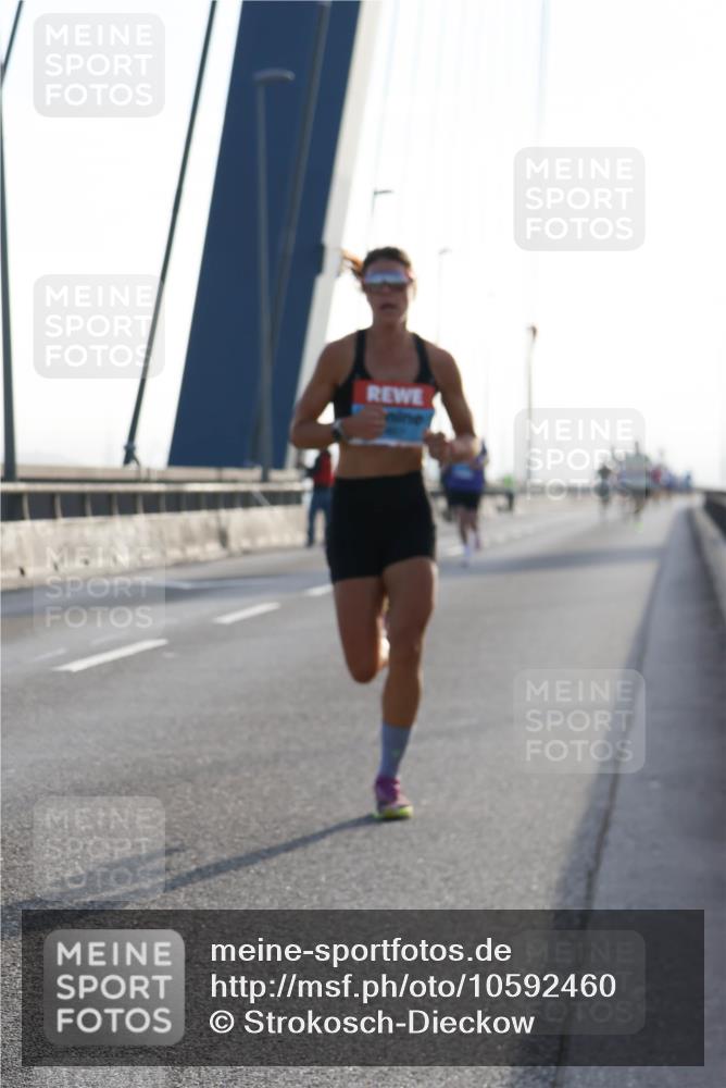 03.10.2026 - Köhlbrandbrückenlauf Strokosch-Dieckow http://msf.ph/oto/10592460 03.10.2026 09:17:43 Position 1  meine-sportfotos.de